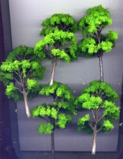 5 Laubbäume, hellgrün, ca. 12 cm hoch