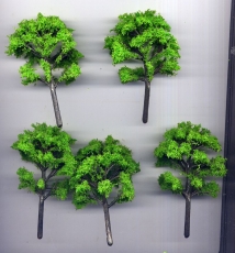 5 Laubbäume, hellgrün, ca. 8 - 9 cm hoch