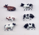 6 verschiedene Rinder